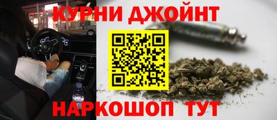 шишки Изобильный