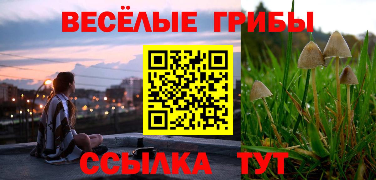 Галлюциногенные грибы GOLDEN TEACHER Кубинка