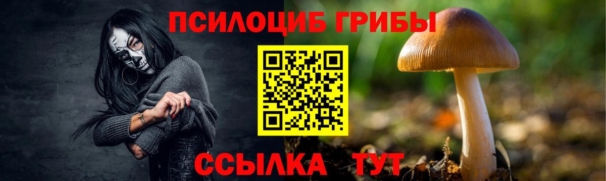 Галлюциногенные грибы мухоморы  Галлюциногенные грибы Psilocybe  Кубинка  Вход с VPN 