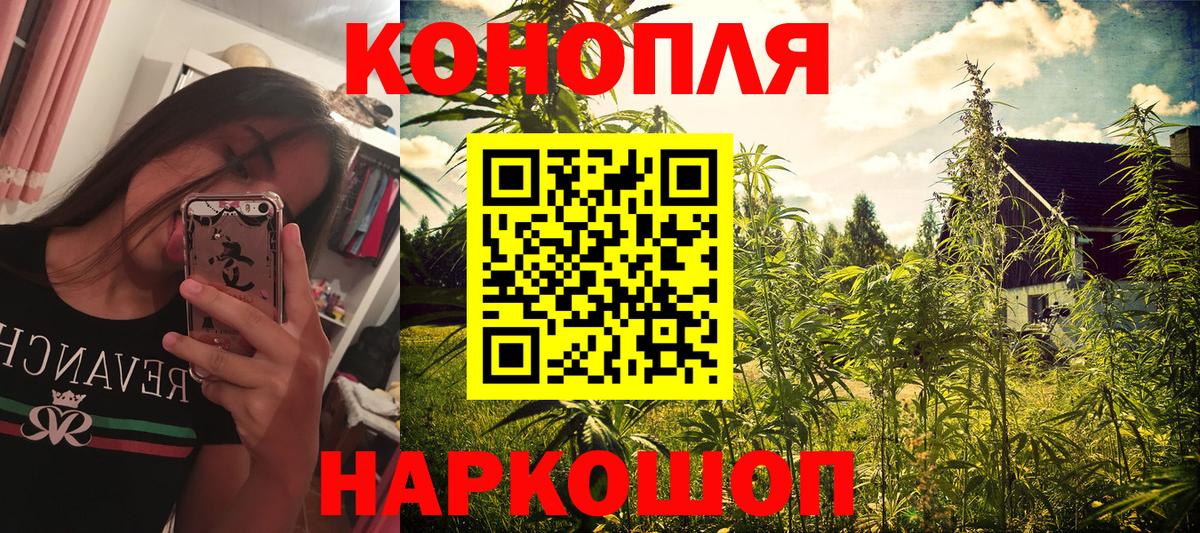 Бошки марихуана ГИДРОПОН Кубинка